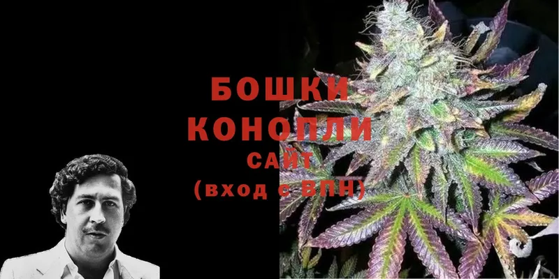 Бошки Шишки Bruce Banner  сколько стоит  Островной 